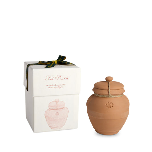 POT POURRI IN TERRACOTTA JAR LG