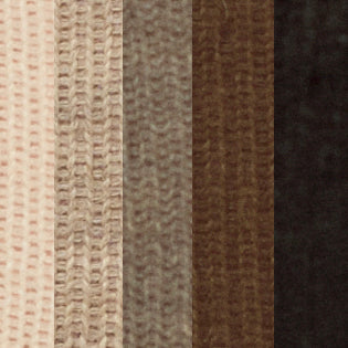 TALL SOCK SET